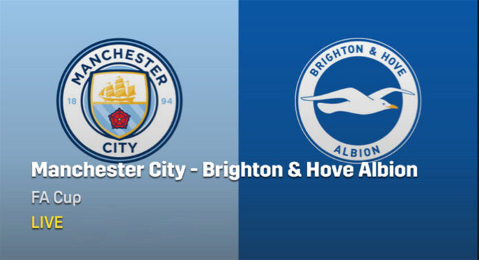 City Brighton Manchester City Brighton